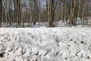 Valleyridge Circle, Alba, MI 49611 - Photo 7