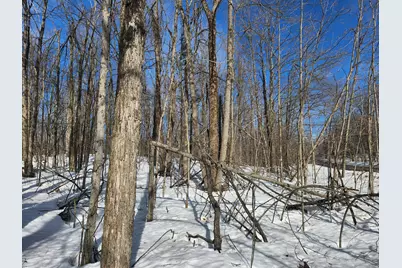 Valleyridge Circle, Alba, MI 49611 - Photo 5