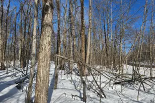 Valleyridge Circle, Alba, MI 49611 - Photo 5