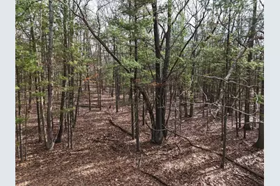 Meadow Wood Drive #40, Manistee, MI 49660 - Photo 11