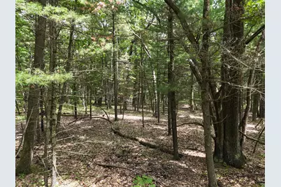 Meadow Wood Drive #40, Manistee, MI 49660 - Photo 9