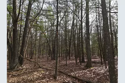 Meadow Wood Drive #40, Manistee, MI 49660 - Photo 7