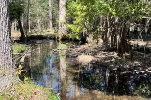 13191 Chicago Ave, Wellston, MI 49689 - Photo 21