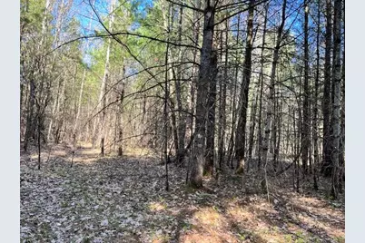 13191 Chicago Avenue, Wellston, MI 49689 - Photo 31