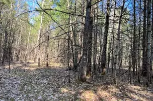 13191 Chicago Ave, Wellston, MI 49689 - Photo 31