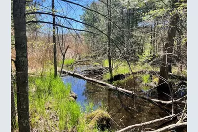 13191 Chicago Avenue, Wellston, MI 49689 - Photo 23