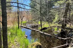 13191 Chicago Ave, Wellston, MI 49689 - Photo 23