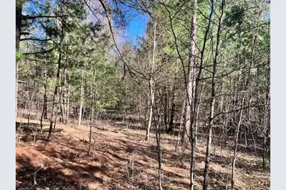 13191 Chicago Avenue, Wellston, MI 49689 - Photo 33