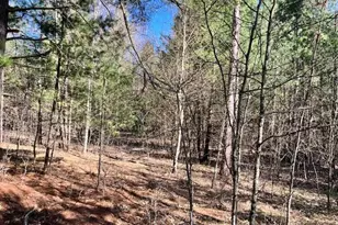 13191 Chicago Ave, Wellston, MI 49689 - Photo 33