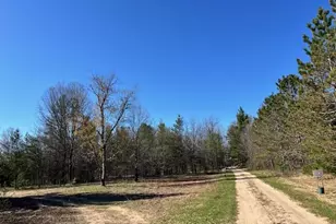 13191 Chicago Ave, Wellston, MI 49689 - Photo 29