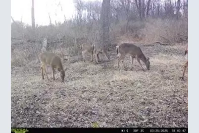 9350 Peach Ridge Avenue NW, Sparta, MI 49345 - Photo 7