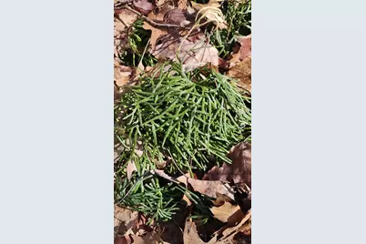 No Address E 136th Street #B lot, Sand Lake, MI 49343 - Photo 25