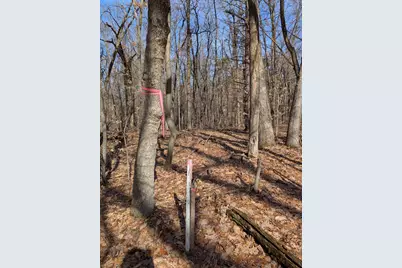 Parcel B E 136th Street, Sand Lake, MI 49343 - Photo 17