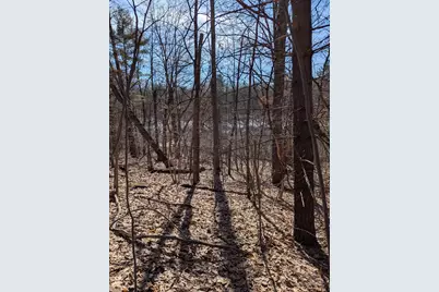 No Address E 136th Street #B lot, Sand Lake, MI 49343 - Photo 9