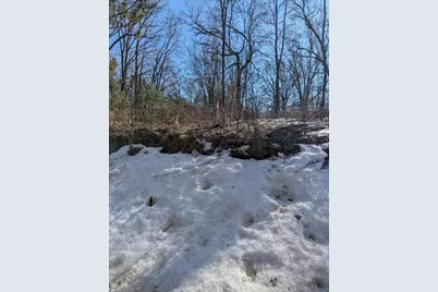 No Address E 136th Street #B lot, Sand Lake, MI 49343 - Photo 19