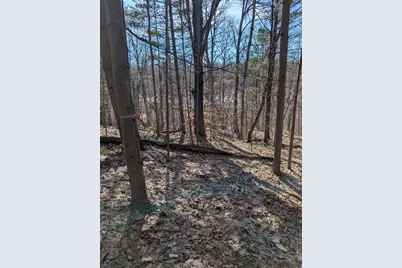 Parcel B E 136th Street, Sand Lake, MI 49343 - Photo 9