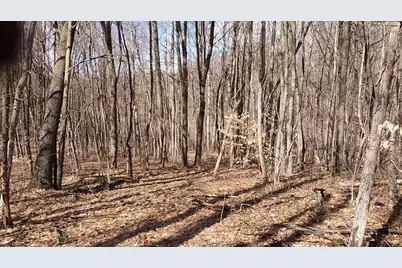 No Address E 136th Street #B lot, Sand Lake, MI 49343 - Photo 33