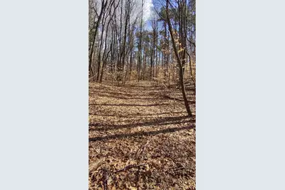 Parcel B E 136th Street, Sand Lake, MI 49343 - Photo 31