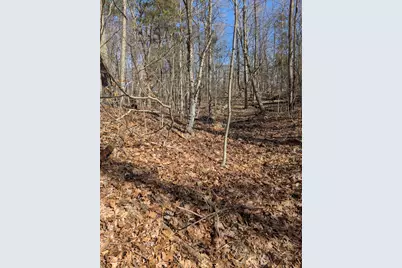 No Address E 136th Street #B lot, Sand Lake, MI 49343 - Photo 11