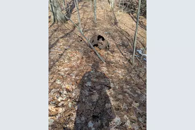 No Address E 136th Street #B lot, Sand Lake, MI 49343 - Photo 17