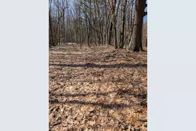 No Address E 136th Street #B lot, Sand Lake, MI 49343 - Photo 15