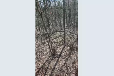 No Address E 136th Street #B lot, Sand Lake, MI 49343 - Photo 31