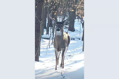 No Address E 136th Street #B lot, Sand Lake, MI 49343 - Photo 21