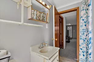 343 W Long Lake Rd, Orleans, MI 48865 - Photo 21