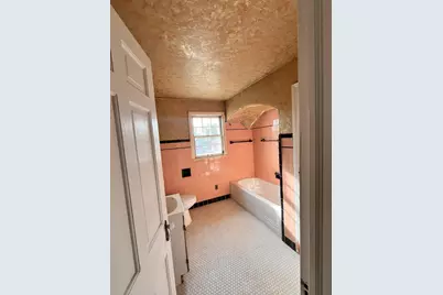 9909 Coyle Street, Detroit, MI 48227 - Photo 11