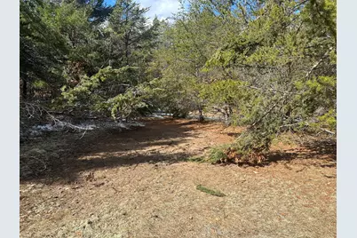 00 S Dillard Street, Baldwin, MI 49304 - Photo 21