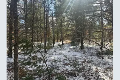 00 S Dillard Street, Baldwin, MI 49304 - Photo 27