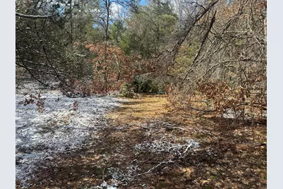 00 S Dillard Street, Baldwin, MI 49304 - Photo 15