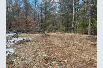 00 S Dillard Street, Baldwin, MI 49304 - Photo 9