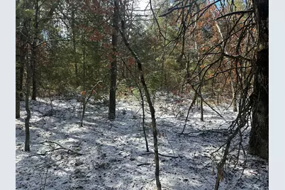 00 S Dillard Street, Baldwin, MI 49304 - Photo 31