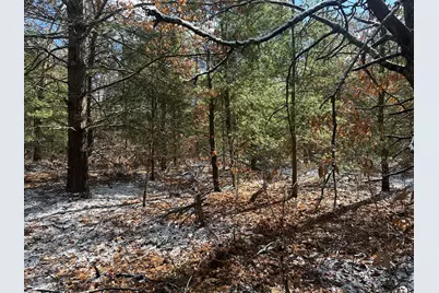 00 S Dillard Street, Baldwin, MI 49304 - Photo 35