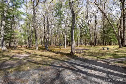 10273 Basford Lk Drive, Baldwin, MI 49304 - Photo 7