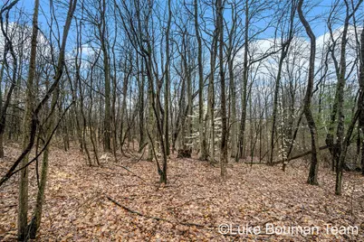 51957 Silver Lake Road, Grand Junction, MI 49056 - Photo 5