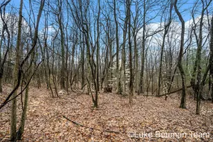 51957 Silver Lake Rd, Grand Junction, MI 49056 - Photo 5