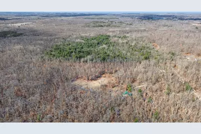 810 E 3 Mile Road, White Cloud, MI 49349 - Photo 3