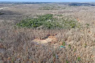 810 E 3 Mile Rd, White Cloud, MI 49349 - Photo 1