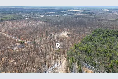 810 3 Mile Road, White Cloud, MI 49349 - Photo 39