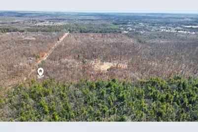 810 3 Mile Road, White Cloud, MI 49349 - Photo 43