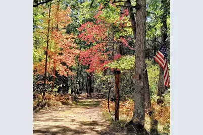 3833 E Creek Wood Drive, Chase, MI 49623 - Photo 49