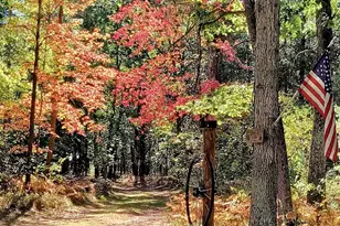 3833 E Creek Wood Dr, Chase, MI 49623 - Photo 49