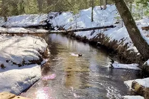 3833 E Creek Wood Dr, Chase, MI 49623 - Photo 1