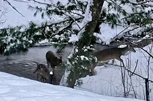 3833 E Creek Wood Dr, Chase, MI 49623 - Photo 11