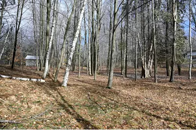 9828 Pontiac Trail, Evart, MI 49631 - Photo 5