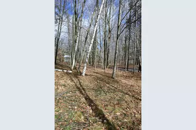 9828 Pontiac Trail, Evart, MI 49631 - Photo 5