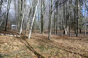 9828 Pontiac Trail, Evart, MI 49631 - Photo 1