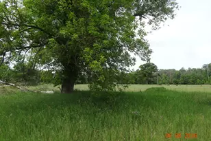 550 S Oak Ave, White Cloud, MI 49349 - Photo 1